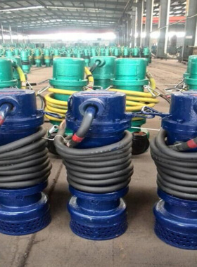 大流量潜水排污泵 WQB10-32-3无堵塞抽水泵 厂用BT4CT4防爆潜水泵
