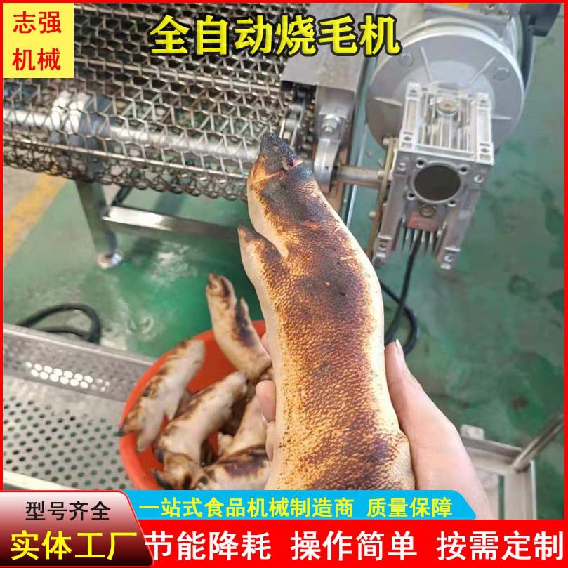 志强全自动猪头烤毛机猪爪羊蹄牛蹄燎毛机液压气猪皮烧毛设备