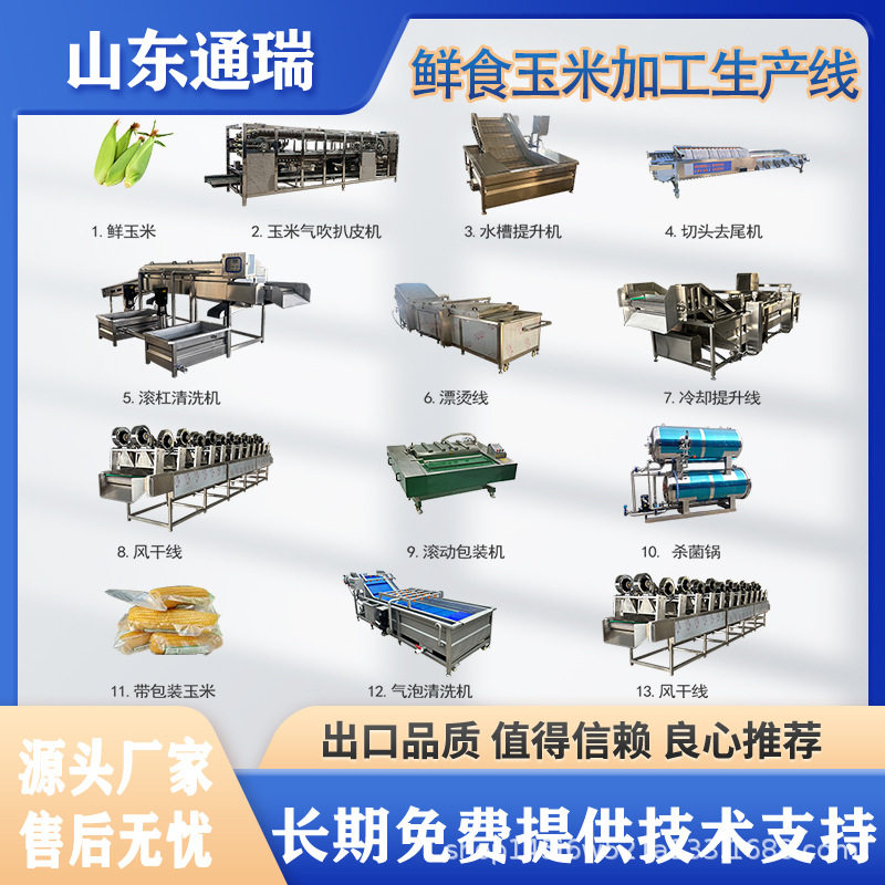 大型鲜食甜玉米棒漂烫冷却流水生产线大型高效东北玉米加工机