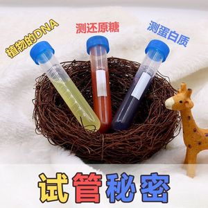 科学小实验试管秘密 科技小制作小发明益智玩具创新DIY手工材料包