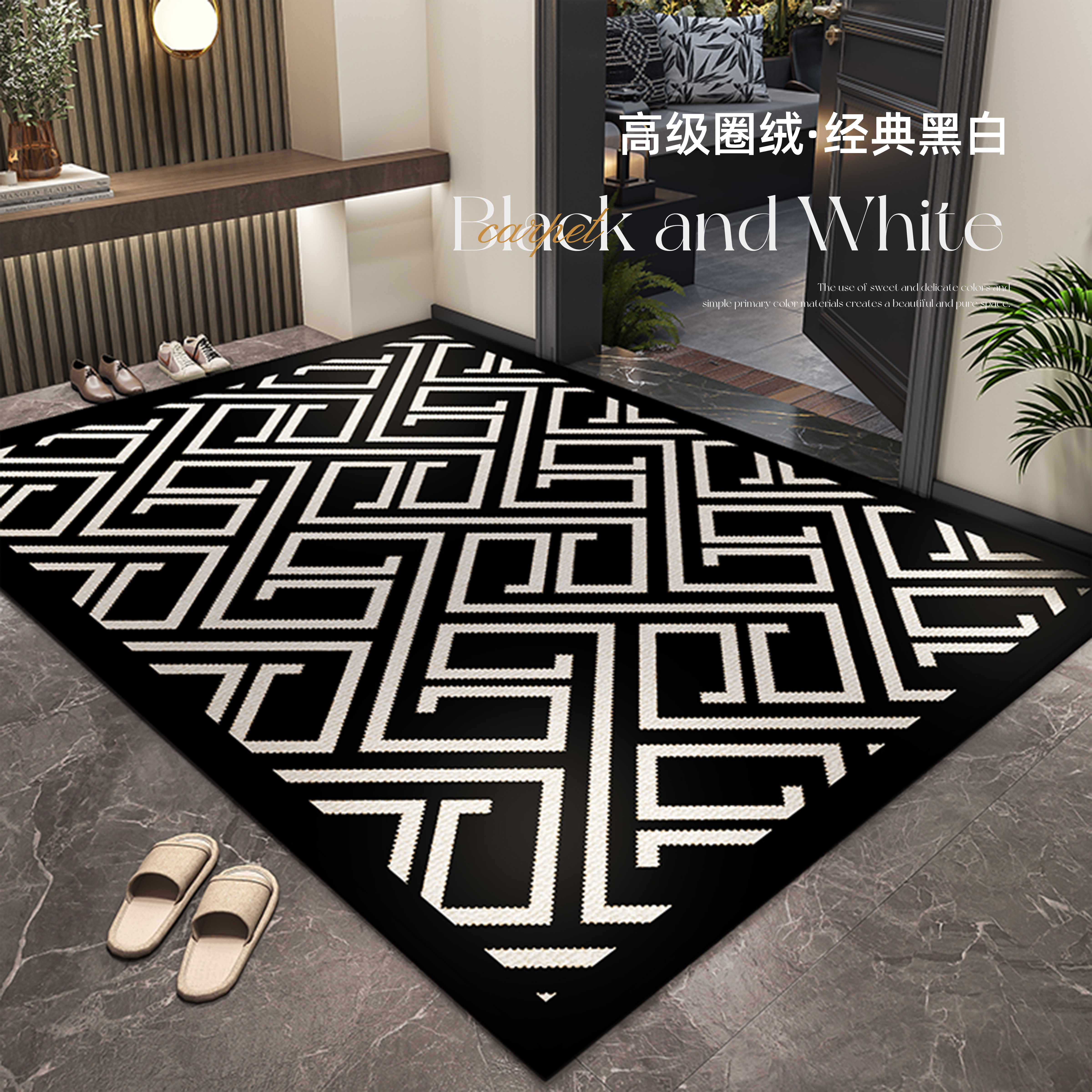 入户门地垫202新款高级感门外进门垫子家用门口防滑耐脏免洗地毯