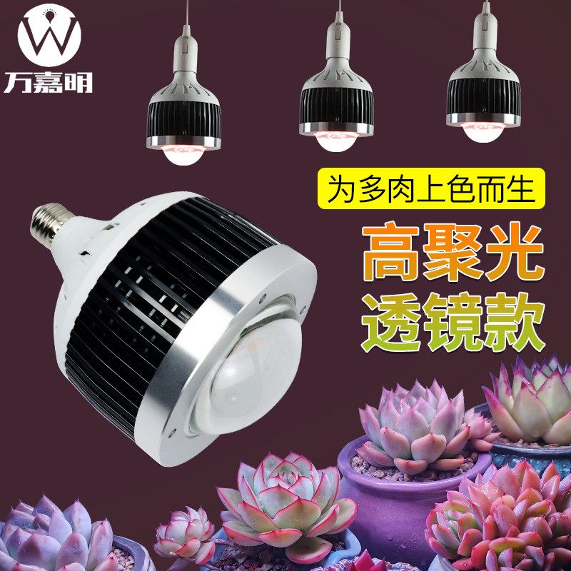 多肉补光灯全光谱led球泡筒灯家用上色防徒室内仿太阳植物生长灯
