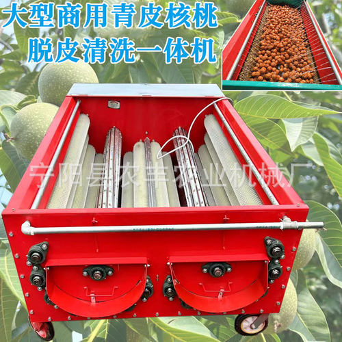 青核桃去皮脱皮机大型商用青核桃剥皮清洗一体电动扒皮机厂家直销