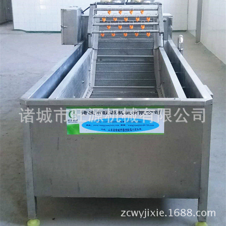 东北蘑菇清洗机全自动气泡清洗蔬菜设备厂家供应大型净菜机器