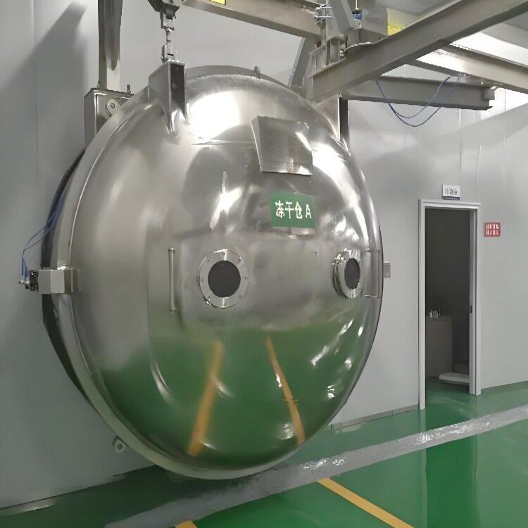 大型速食粥冷冻干燥机方形调味品方便食品冻干机银耳木耳冻干设备