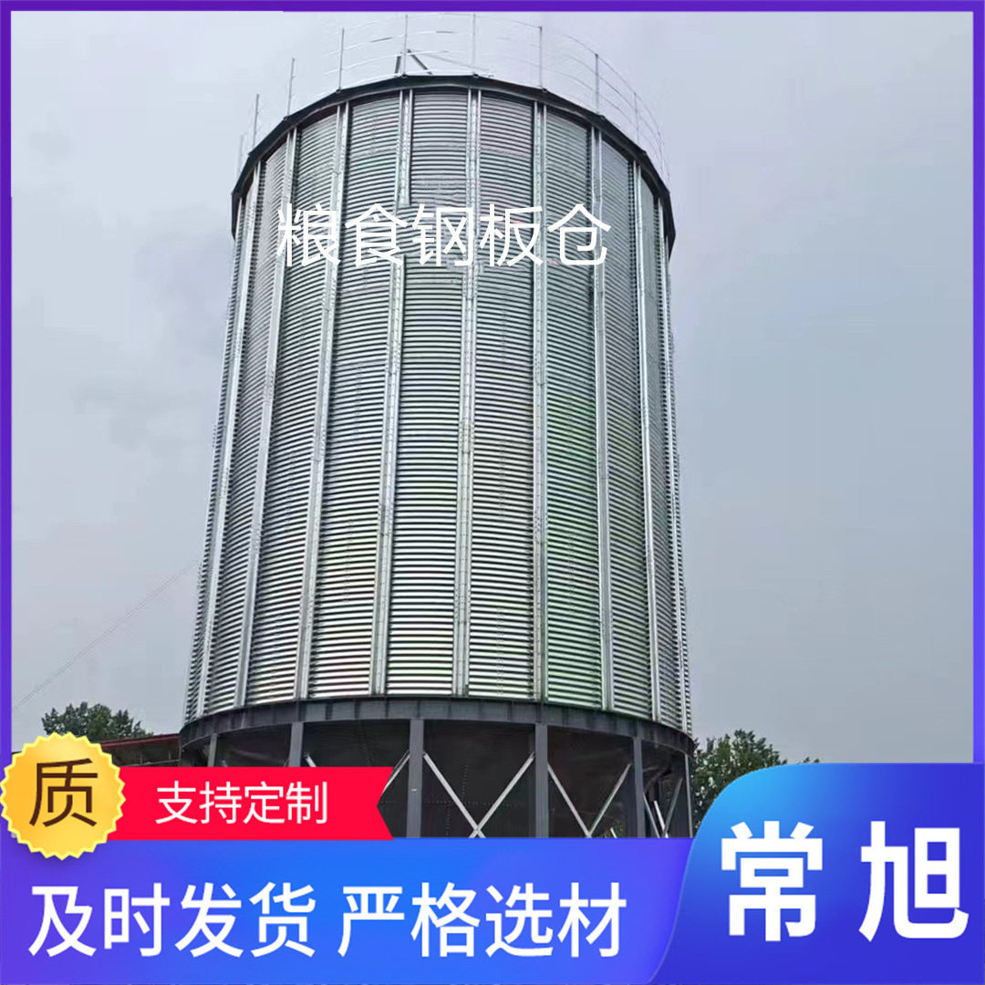 河北批发粮食储存罐大型粮食钢板仓锥底30-18000吨钢板粮仓