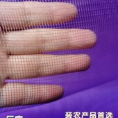 加厚紫色绿色大号网袋塑料加密小网眼编织网兜装 辣椒太子参网眼袋