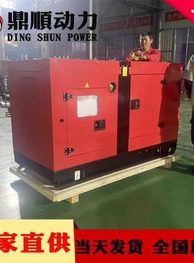 双0缸2kw静音箱发电机组21机05双坊缸工地DS-20kw出口水冷潍20千