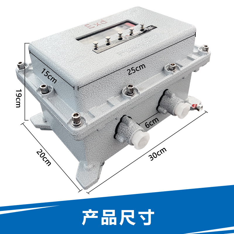 金威士XK3101防爆型称重控制仪表定量控制配料包装秤85/232输出