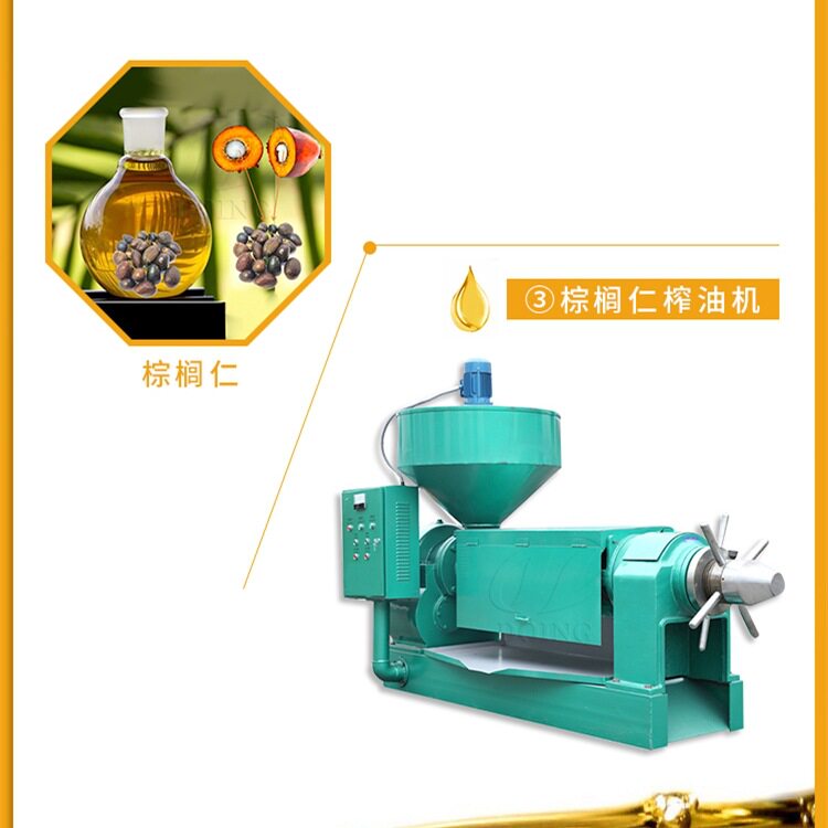 食用棕榈油仁螺旋榨油机 小型全自动棕榈仁油压榨设备