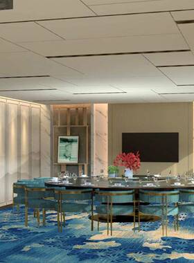 NRM地毯台道球室毯过满铺酒店隔地音客房走廊阻燃耐磨防滑大面积