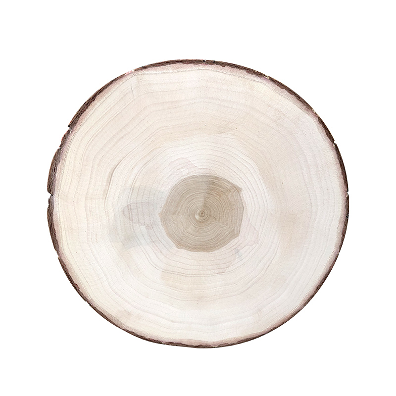 华明泰兴银杏木砧板白果树切菜板整木家用实木板菜墩圆厚