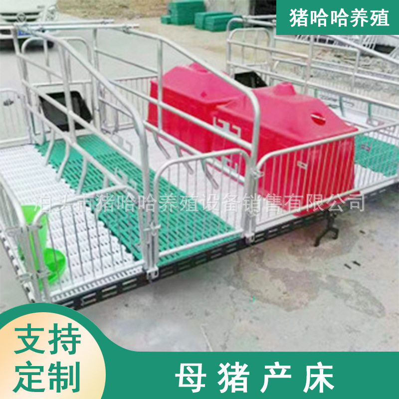 母猪产床双体定位栏猪用限位栏落地式防压杆设计机械