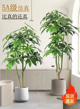 ZMC绿植轻发财树室内厅饰奢摆件假客盆栽造装景假花仿生植物