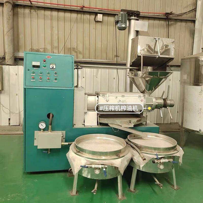 小型家用移动式花生大豆螺旋榨油机 菜籽芝麻冷热两用榨油机价格