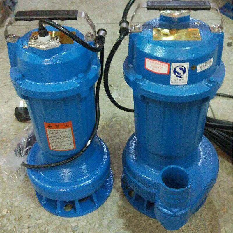 东凌霄858家用污水泵广单相排污泵小0型工程抽8化粪池抽水机22V/3