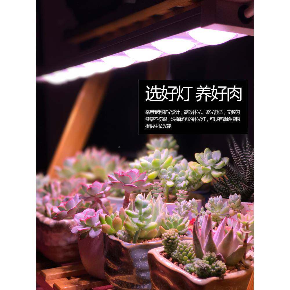 ?雨LED植光生长灯物全光谱多肉补灯上Fhfmxwrr色室内林缸盆栽微景