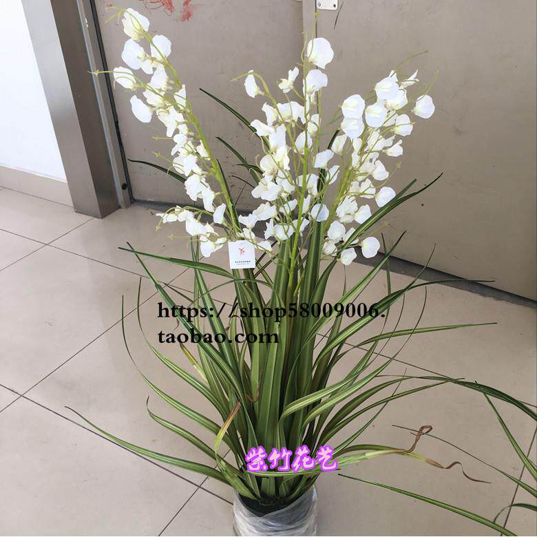 环保真孔雀兰落水草/绿植水生植仿物套地假树绿植装XXQ狗尾草摆放