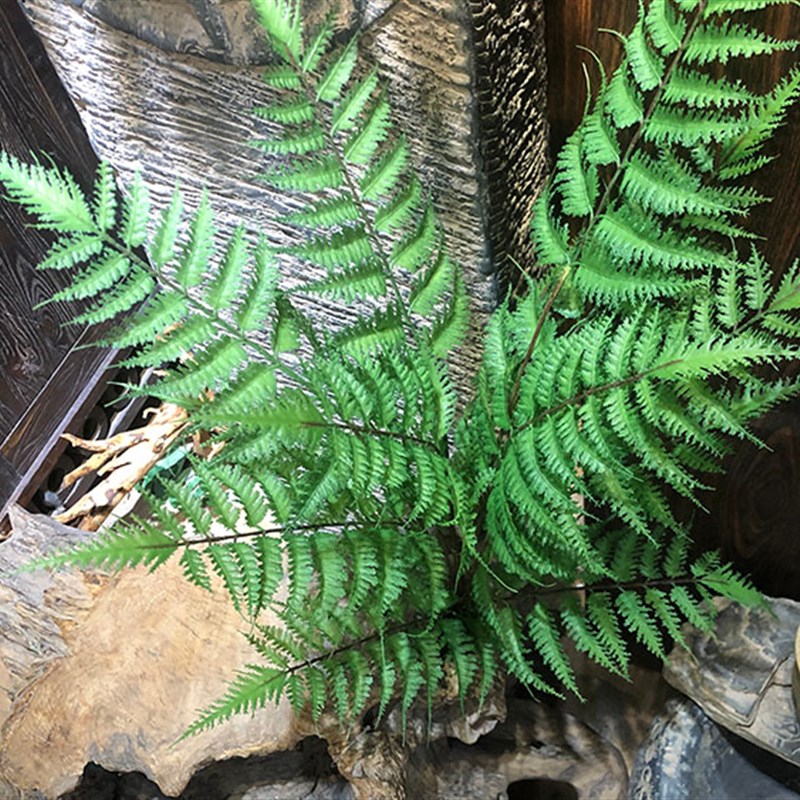 仿真波斯草软胶羽节蕨锯叶蕨草黑骨芒植物假花软装插花配材装饰