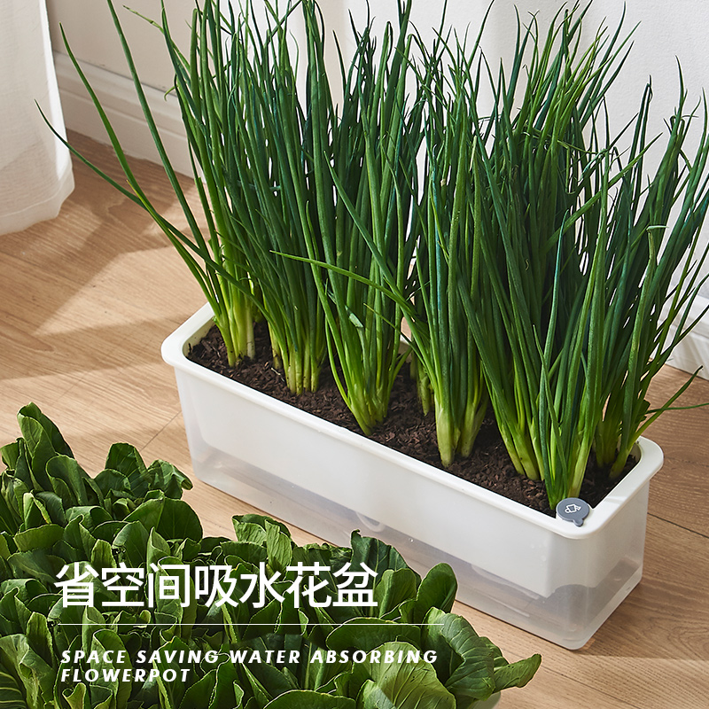 大花惠兰花盆懒人种植自动自吸水盆栽花盆阳台长方形水培器皿