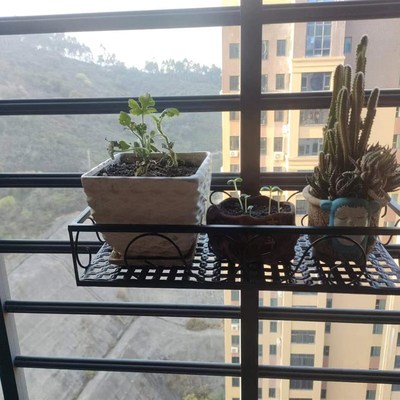 铁艺防盗窗栏杆多肉花架窗台边框窄花架阳台栏杆缝隙小花架晒鞋架
