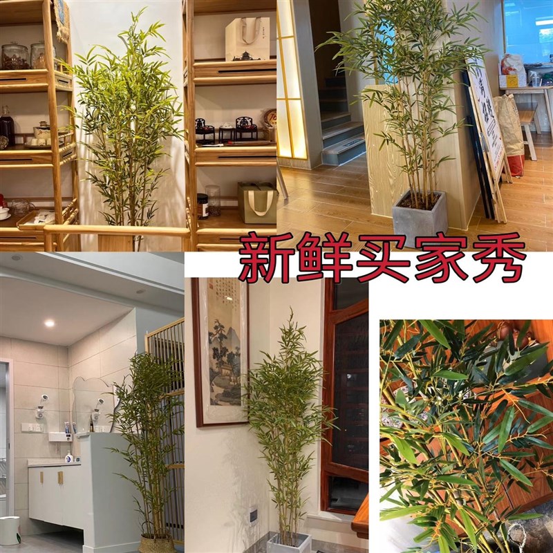 仿真竹子室内装饰假竹子隔断屏风挡墙造景室外装饰竹盆栽加密绿植