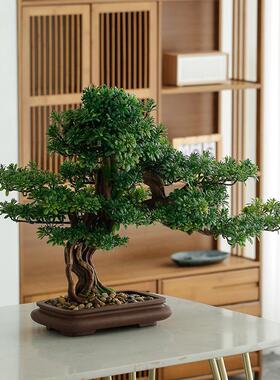 新播中玄关摆件仿真迎WDF客松桌面直间室装饰品式别墅酒店假树盆