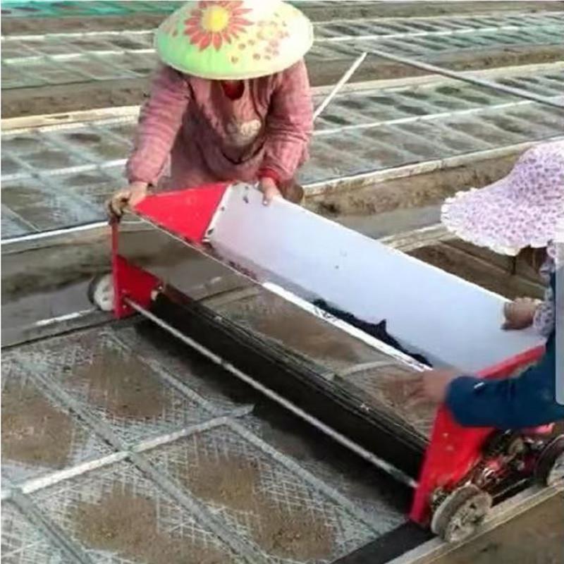流水线摆盘机机插秧播种机一体机电动式播种机育苗育秧水稻覆土机