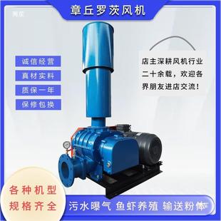 200b FSSRNSR 175 1520 OPG5 SSR 100罗茨鼓风机HLSR