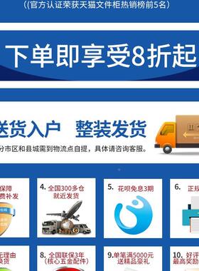 文件皮柜铁柜资料财中二斗DPC储物柜带锁钢制办务公室凭铁证柜档