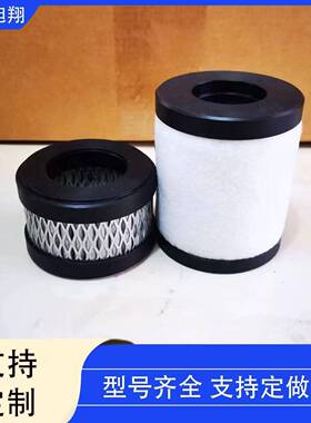 A空泵真滤芯22304199&A223040SGW77
