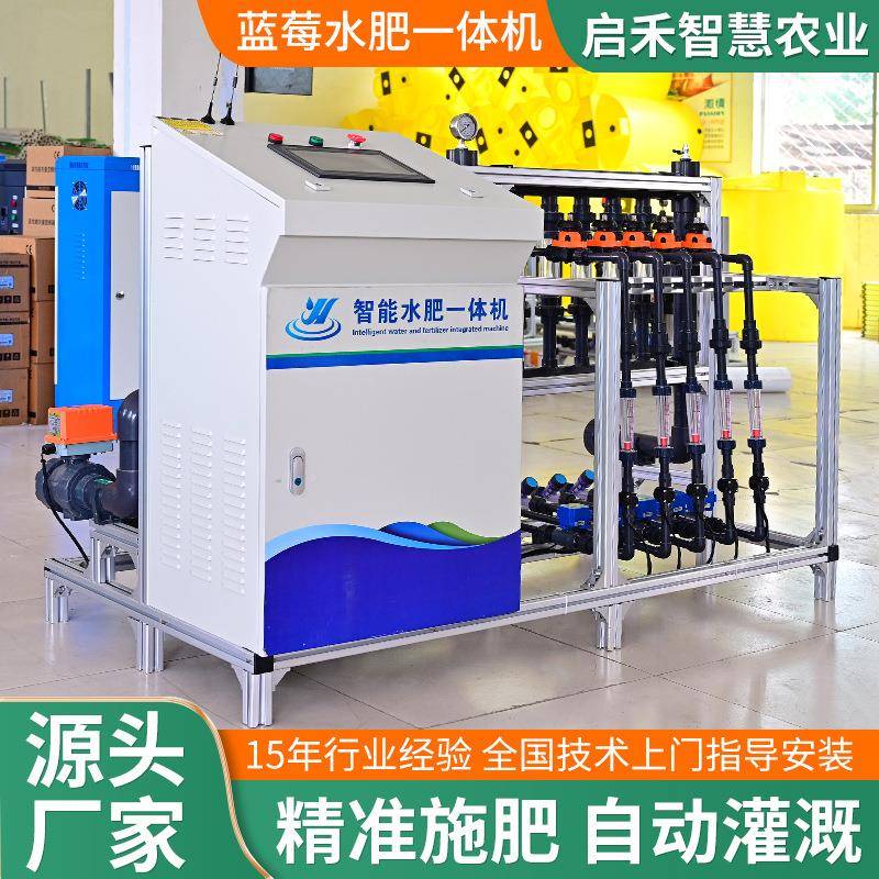 蓝草莓栽肥灌溉COY一体设备全自动无土培智能水肥一体机施智莓能
