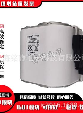 170M1711817DBY0M771197M120170M71210170M7122巴斯曼熔断器