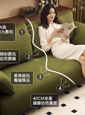 沙小发客厅小寓户型公出租房双人位布艺大象耳懒人2025朵新B-SF-A