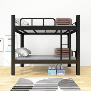 校上学下铺材铁架床学宿舍单人DTD生床寝室加厚双层床公寓双层床