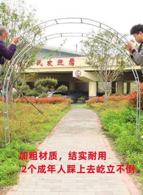 庭院铁花艺葡萄路拱门架蔷架薇49119爬藤架子引月季加粗拱形花支