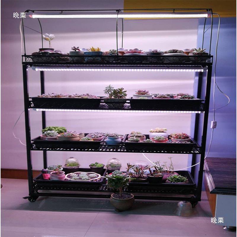 多肉花架补光花架室内架层可用移动带轮多多肉花盆架子LF001置物