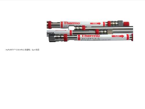 054995 赛默飞 Themo离子色谱柱  ProPac SCX-10 HPLC 分析柱