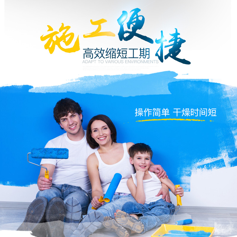 鲁邦水不漏 卫生间管道加强防水涂料补漏王 屋顶补漏堵漏防水材料