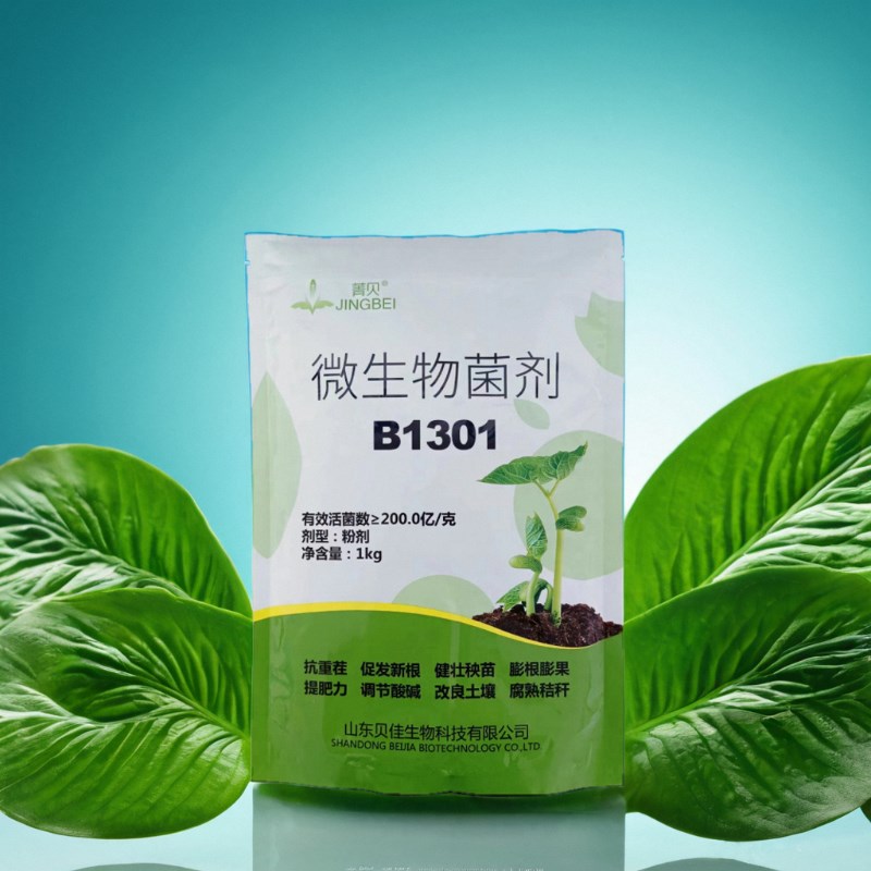 抗重茬微生物菌剂根茎膨大冲施滴灌水溶肥育苗生根剂调节剂B01