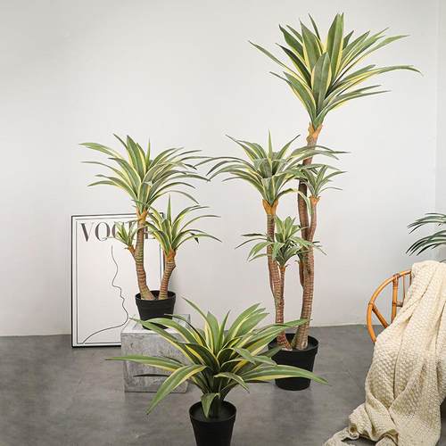 手金感软胶材料边龙舌兰HSC白边植黄冠兰仿真植兰物造景绿剑麻剑