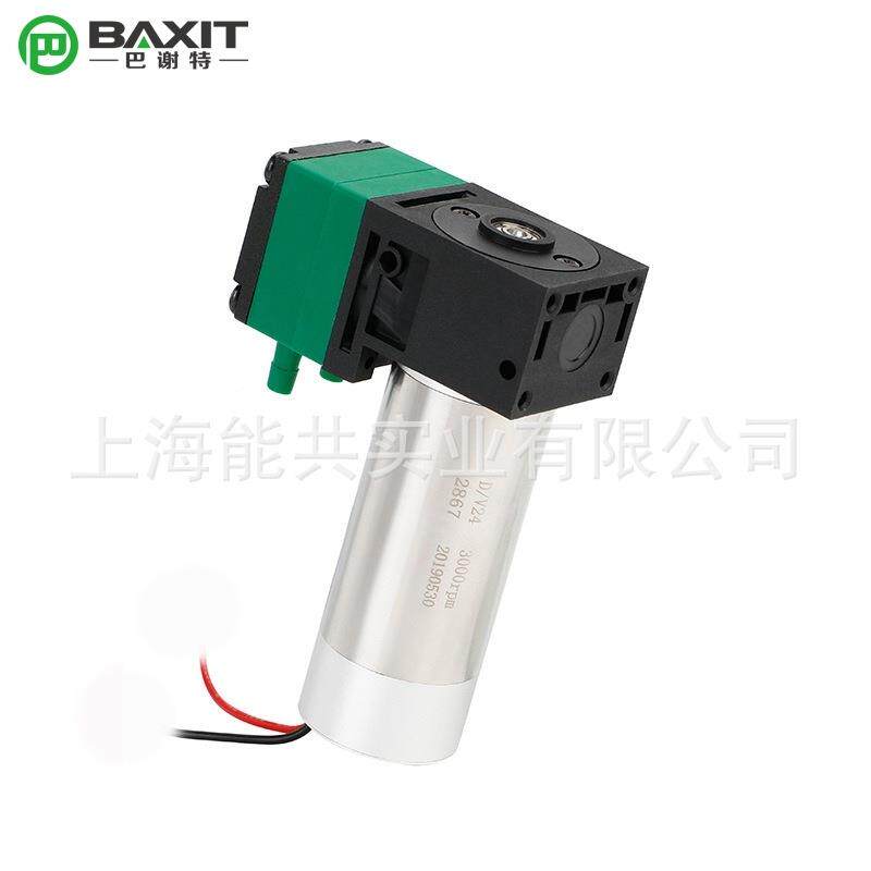 BA耐XI4T巴谢特隔膜液泵12/2V微型真空泵液气两用泵腐蚀CPZL08BK