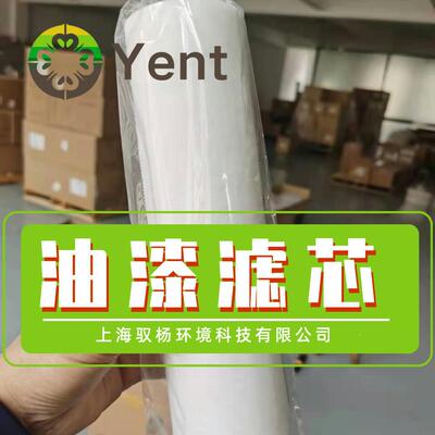 芯替代棕色树AXS脂滤芯W8125精度油滑油漆滤V11