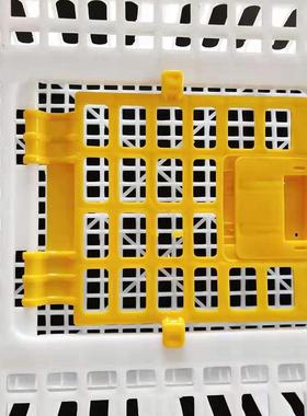 塑料鸡笼加厚运输鸡笼周转家箱用成鸡子NQL养殖蛋鸡笼大号厂笼家