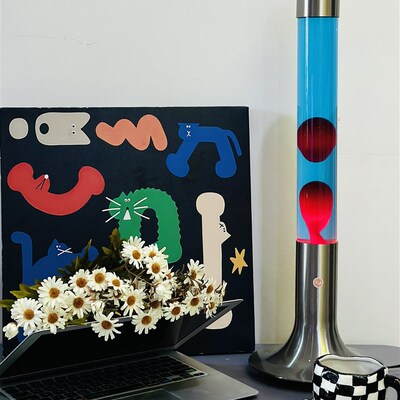 创意客厅卧室装饰台灯落地灯熔岩灯蜡灯浮游灯氛围感小夜灯 多色