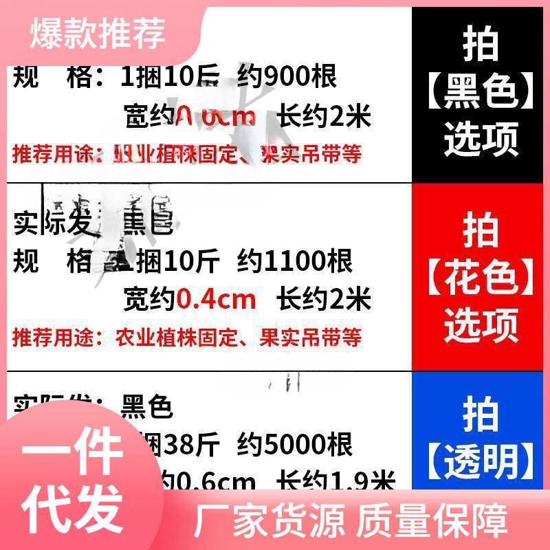 建筑见描述绑蔑棚扎蔑搭竹架扎绳带扎束扎排山的带搭竹架线带扎带