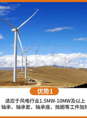 PIEN风电轴承加热器电加磁轴感应热安装65-2000mm大RTD0型承加热