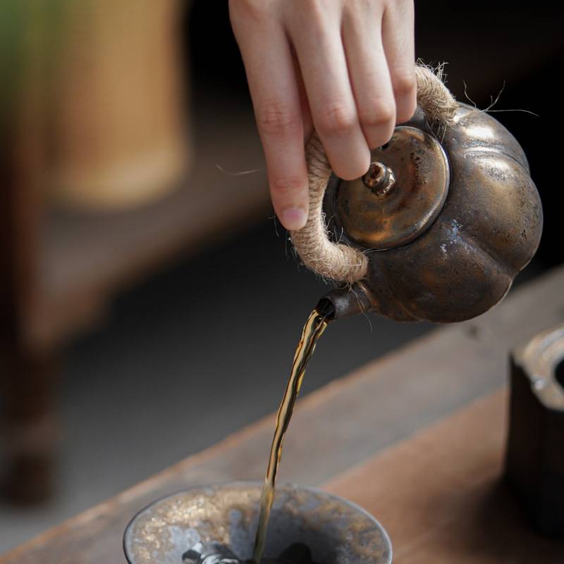 铁锈釉麻绳提梁壶茶具茶壶陶瓷日式复古手工鎏金粗陶功夫泡茶单壶
