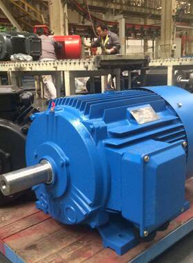 YE3-315M-4  132KW IP55/F级 B3卧式电动机 西安西玛电机