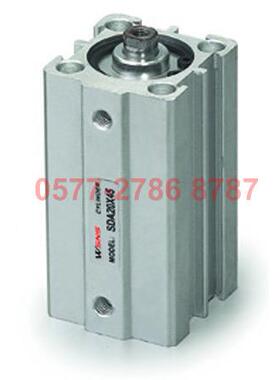 SDAX100X5X10X15X20X25X3035X40X5X50X60XSDA100X57080XX90X100WS